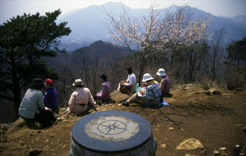 高川山